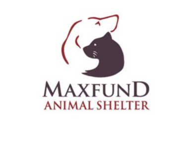 Maxfund Maxfund