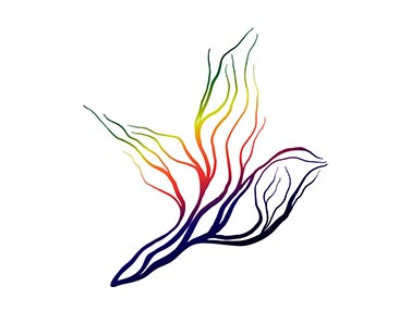 From Roots to Wings From Roots to Wings