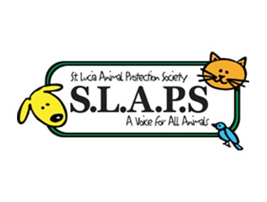 St Lucia Animal Protection Society St Lucia Animal Protection Society